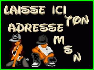 Lache ton adresse msn