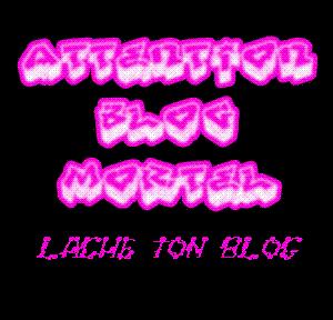 Lache ton blog