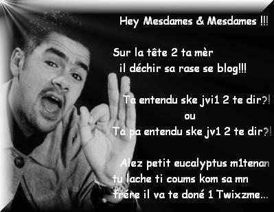 Parole de jamel debouzze