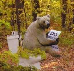Do bear