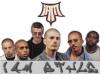 Eux oci jles kiffe  tp des gars styler